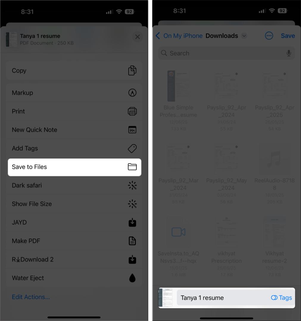 Choose location and save pdf