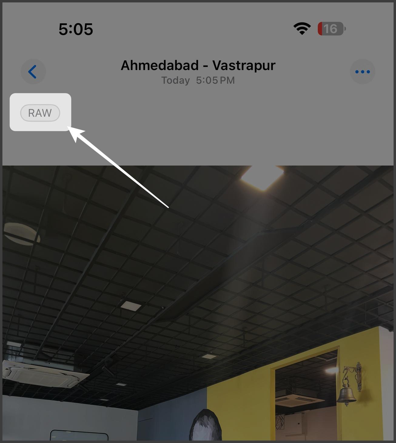 RAW option on Apple photos