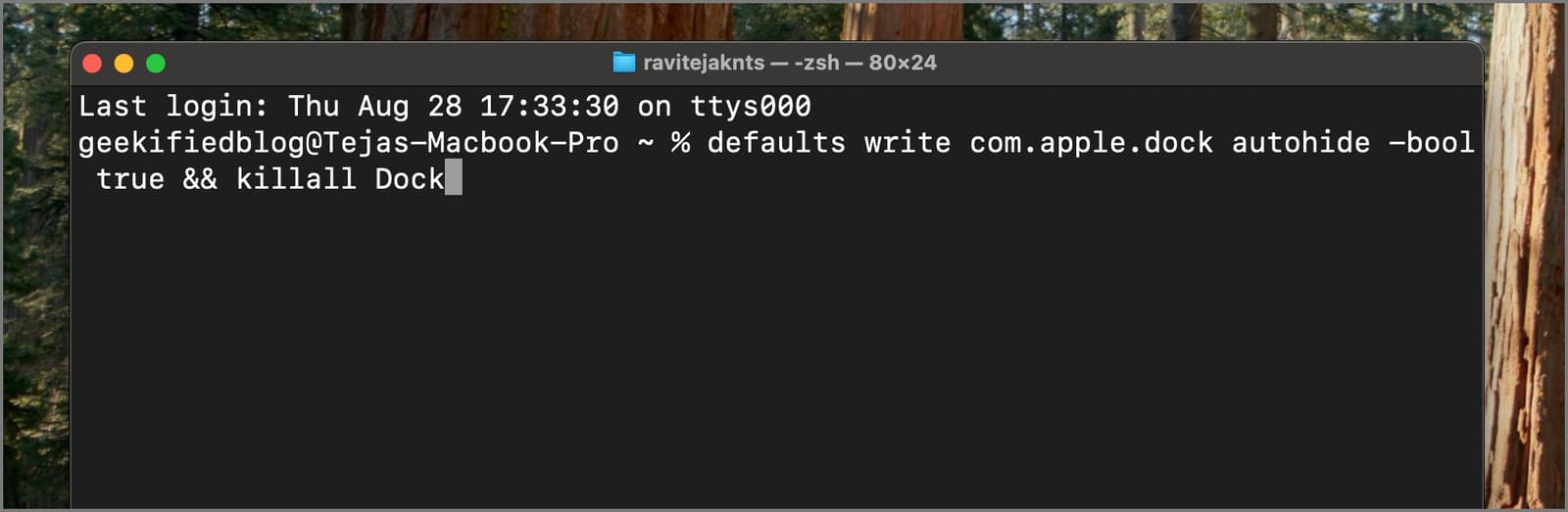 Auto hide dock terminal mac