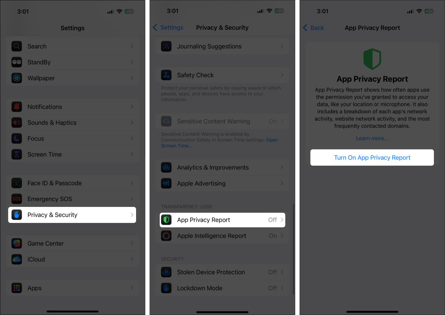 Enable app privacy reports from iPhone settings