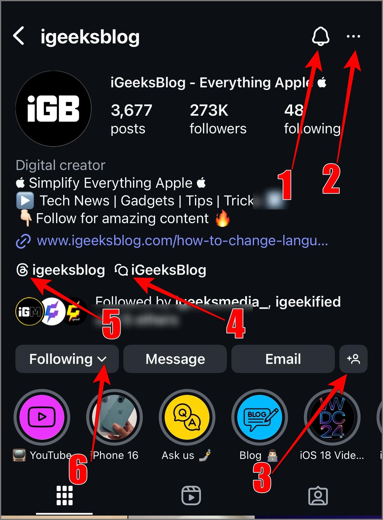 Profile icons on Instagram
