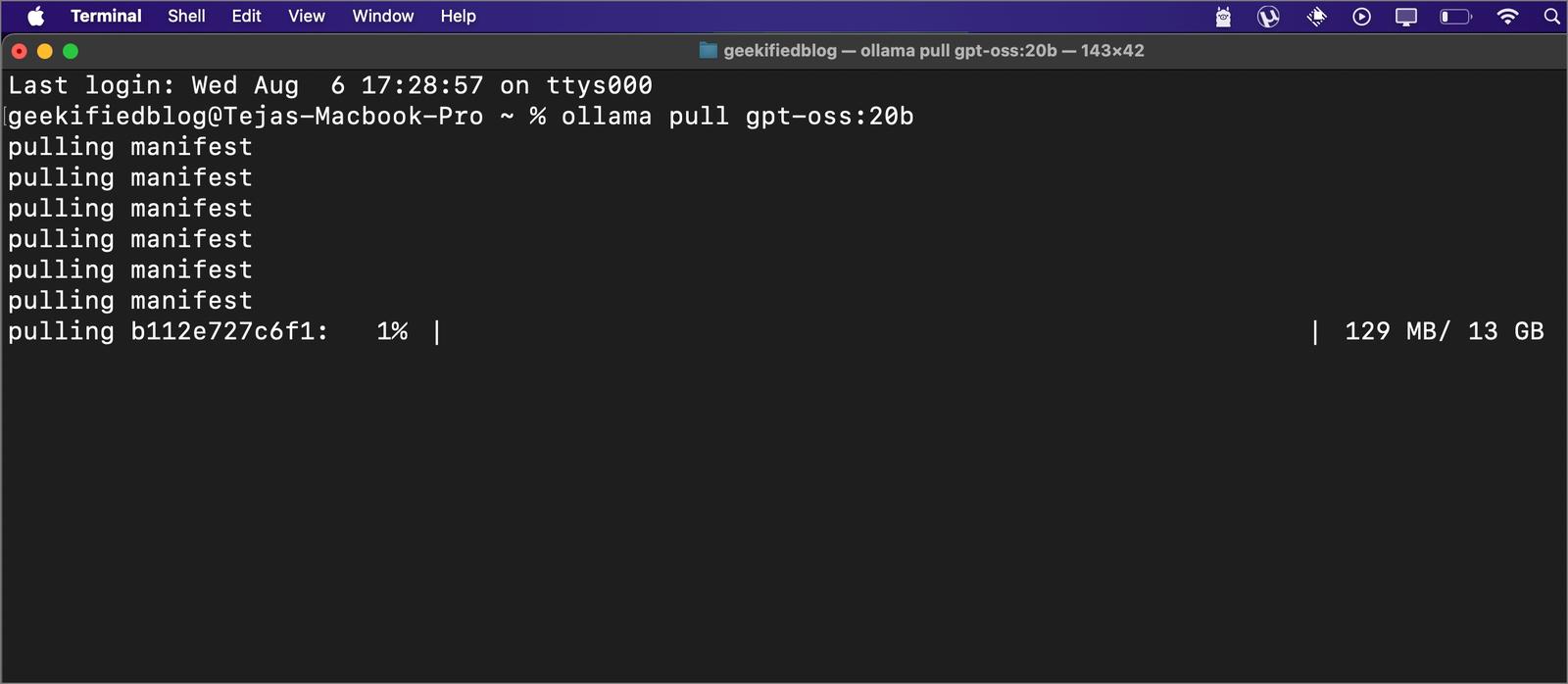 see a prompt where 