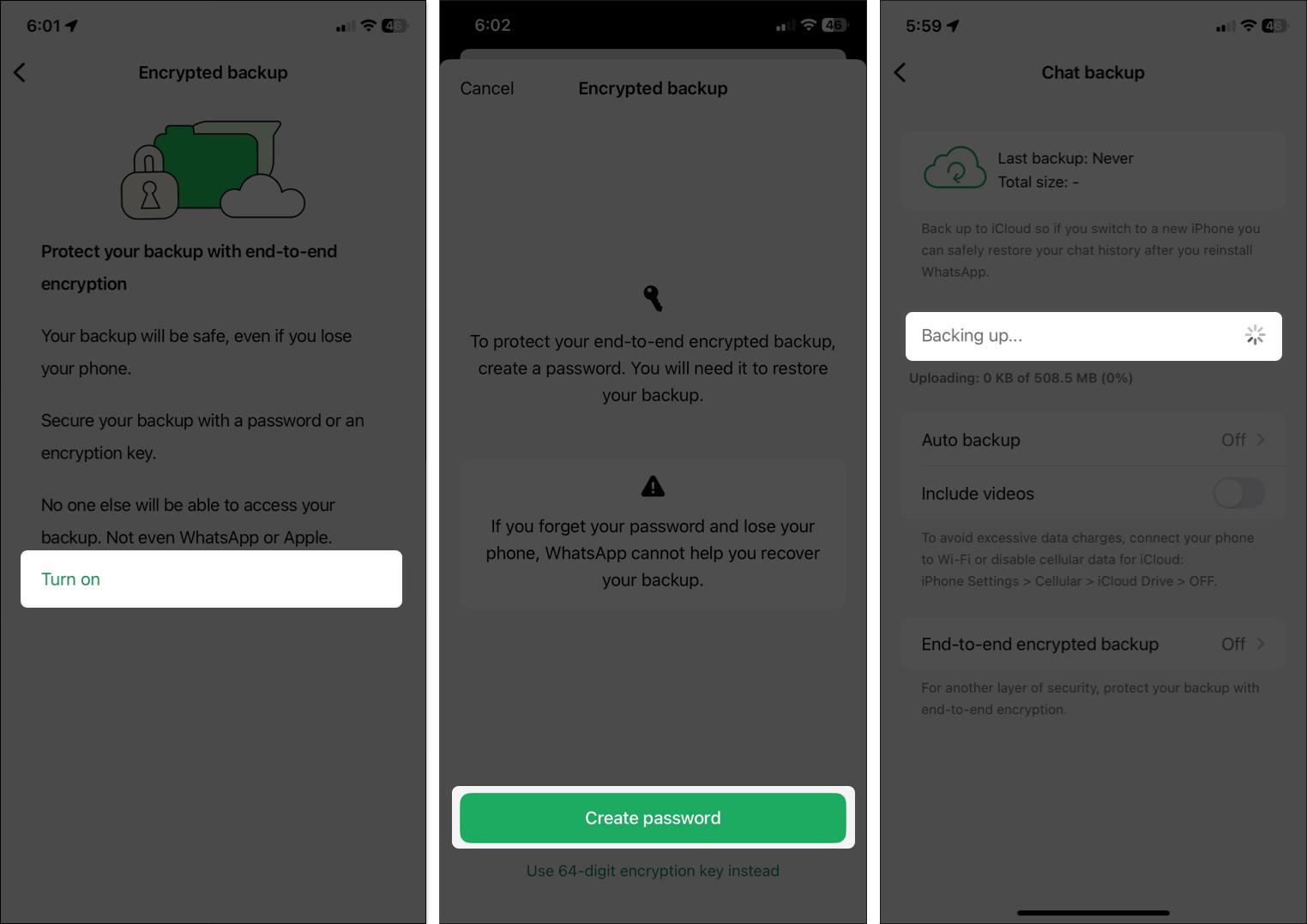 Tap on turn on create password to encrypted backup