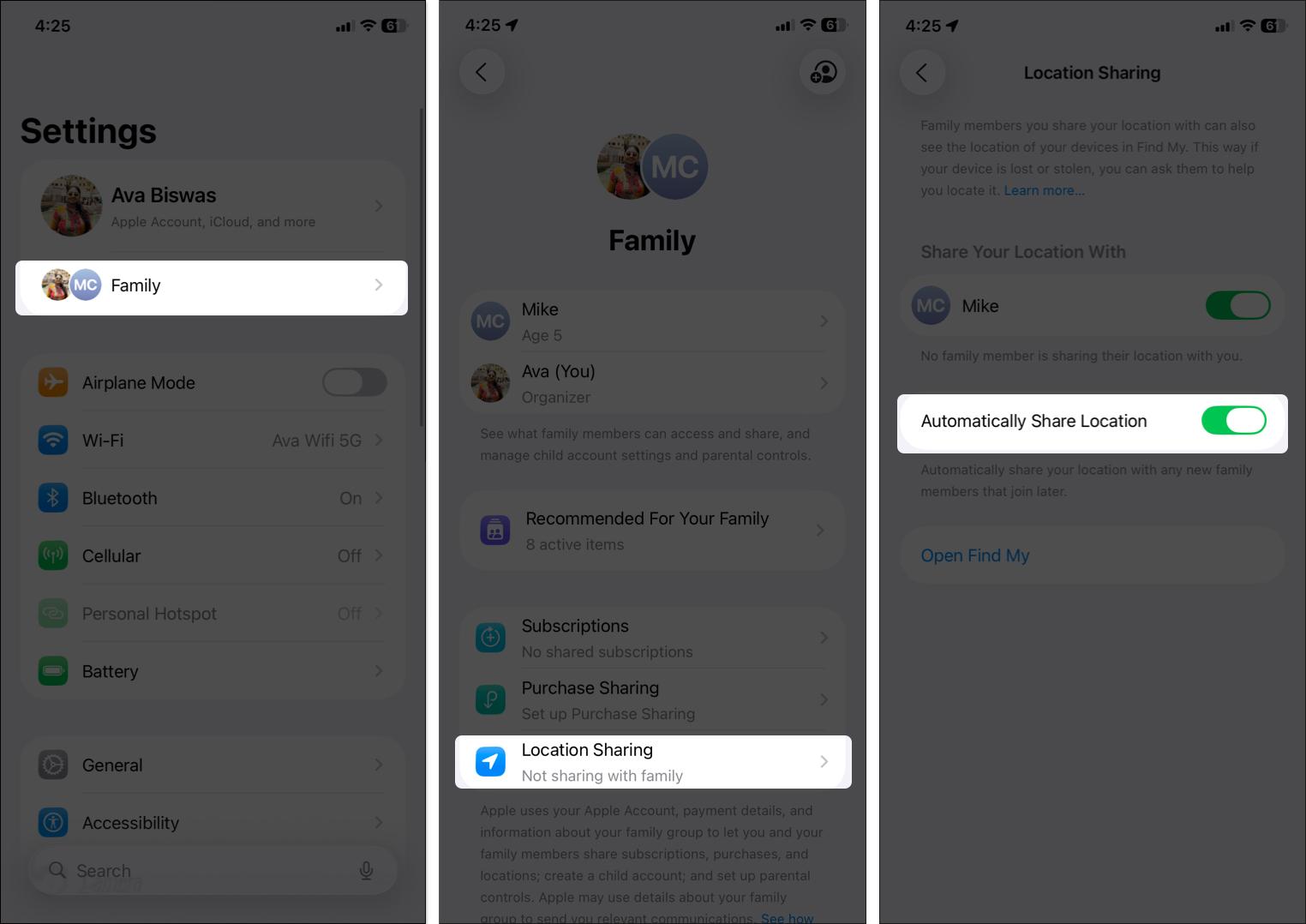 Toggle on automatically share location from family settings on iPhone