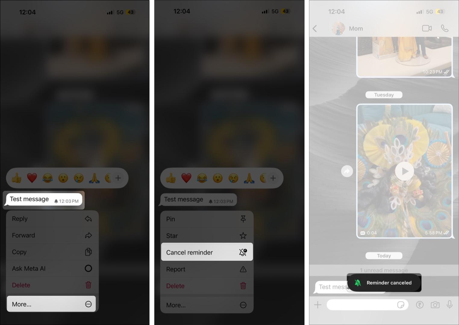 Cancel a message reminder on the WhatsApp