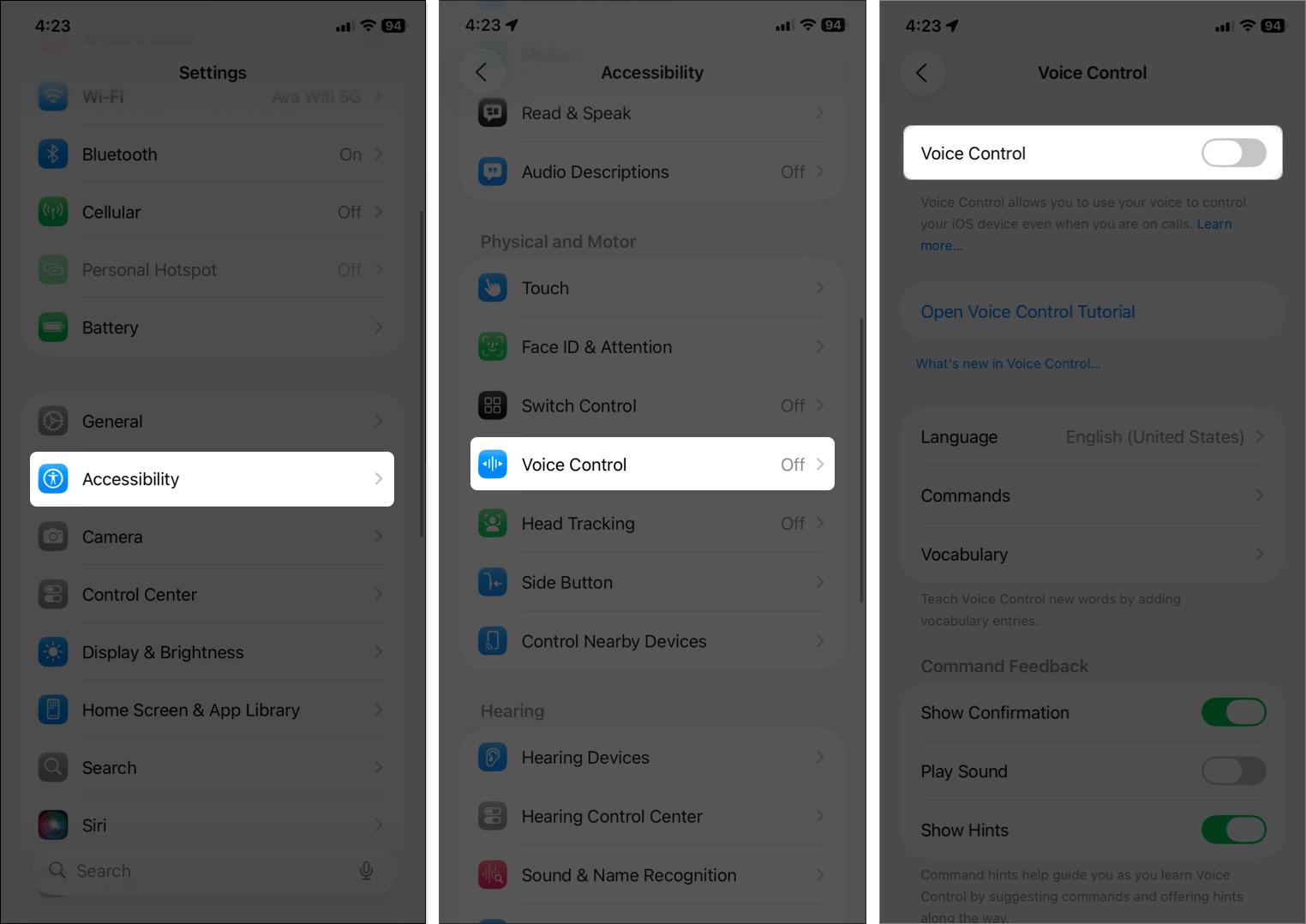 Disable voice control from iPhone settings
