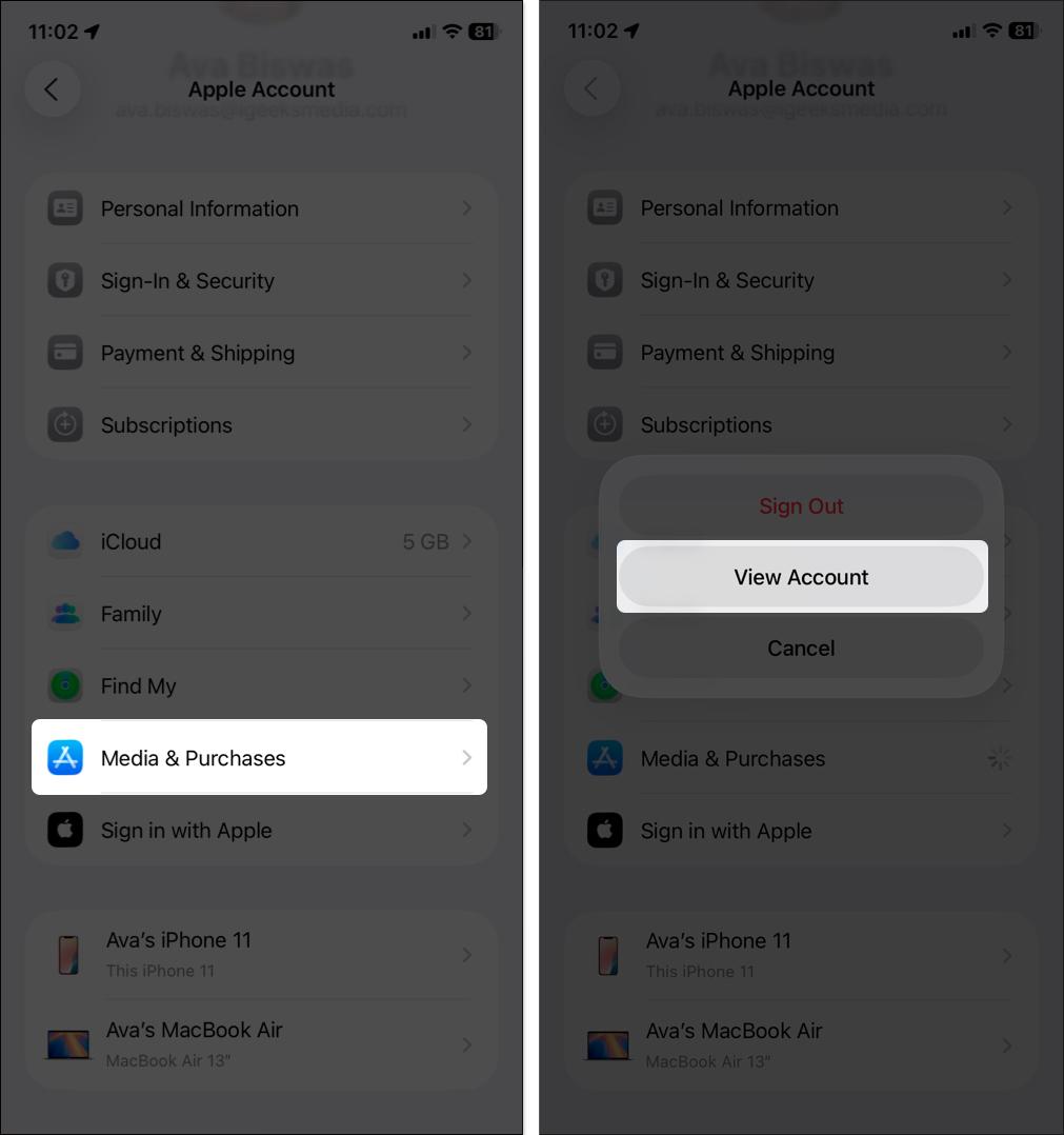 Open Media and Purchase then tap on view account
