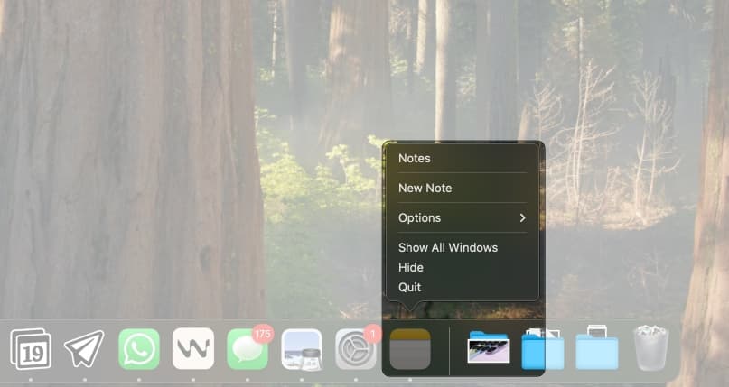 Right click notes in the dock and select quit