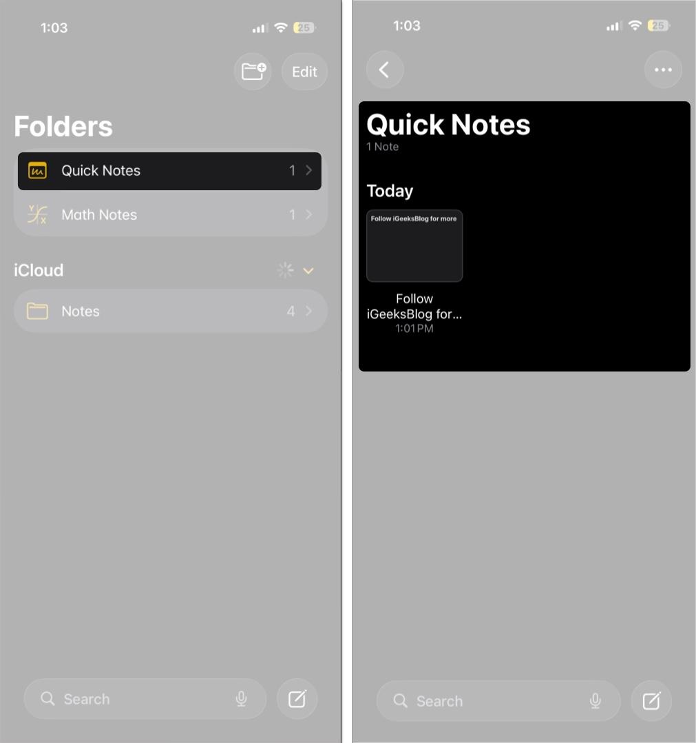 Open the Notes app and tap Quick Notes.