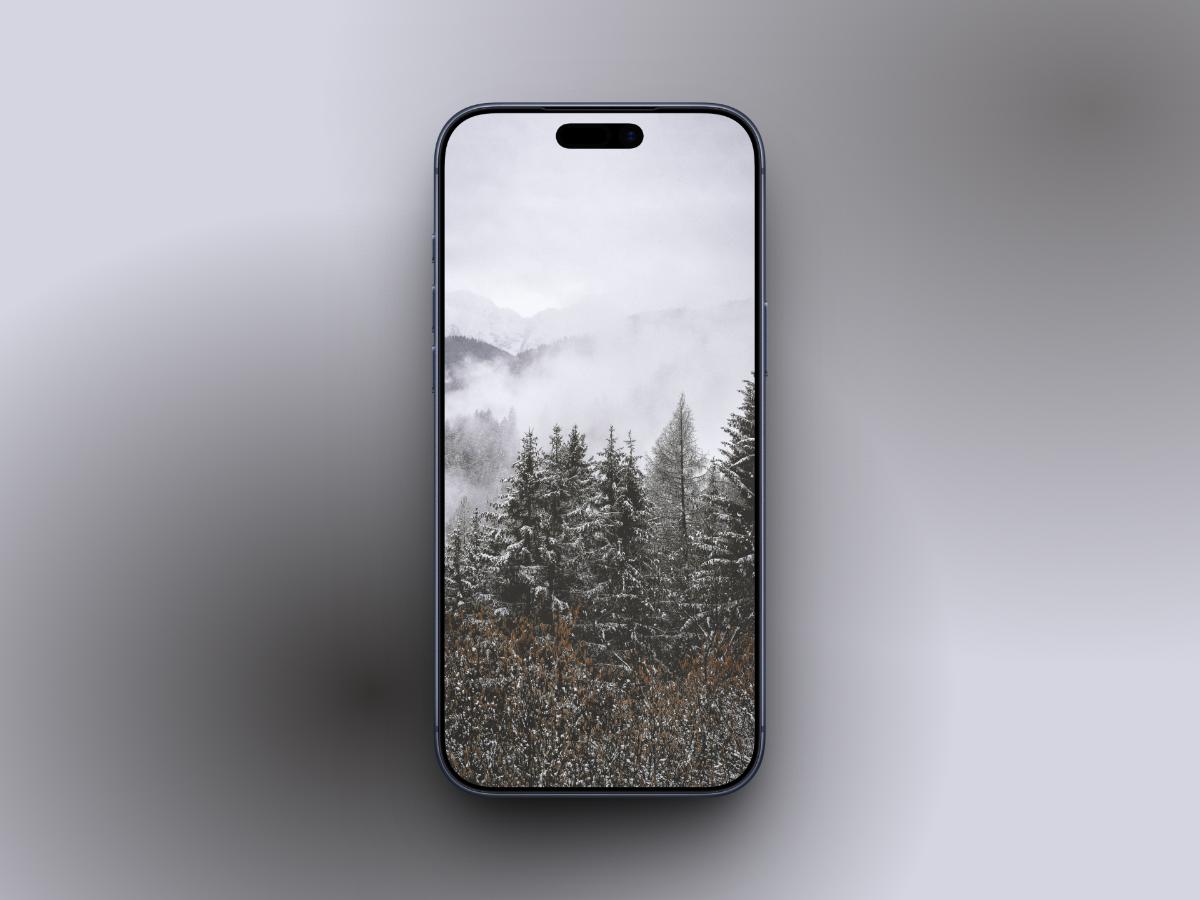 Aesthetic Foggy Forest with Snow