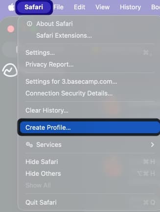 Click Safari in the top menu bar and select Create Profile.