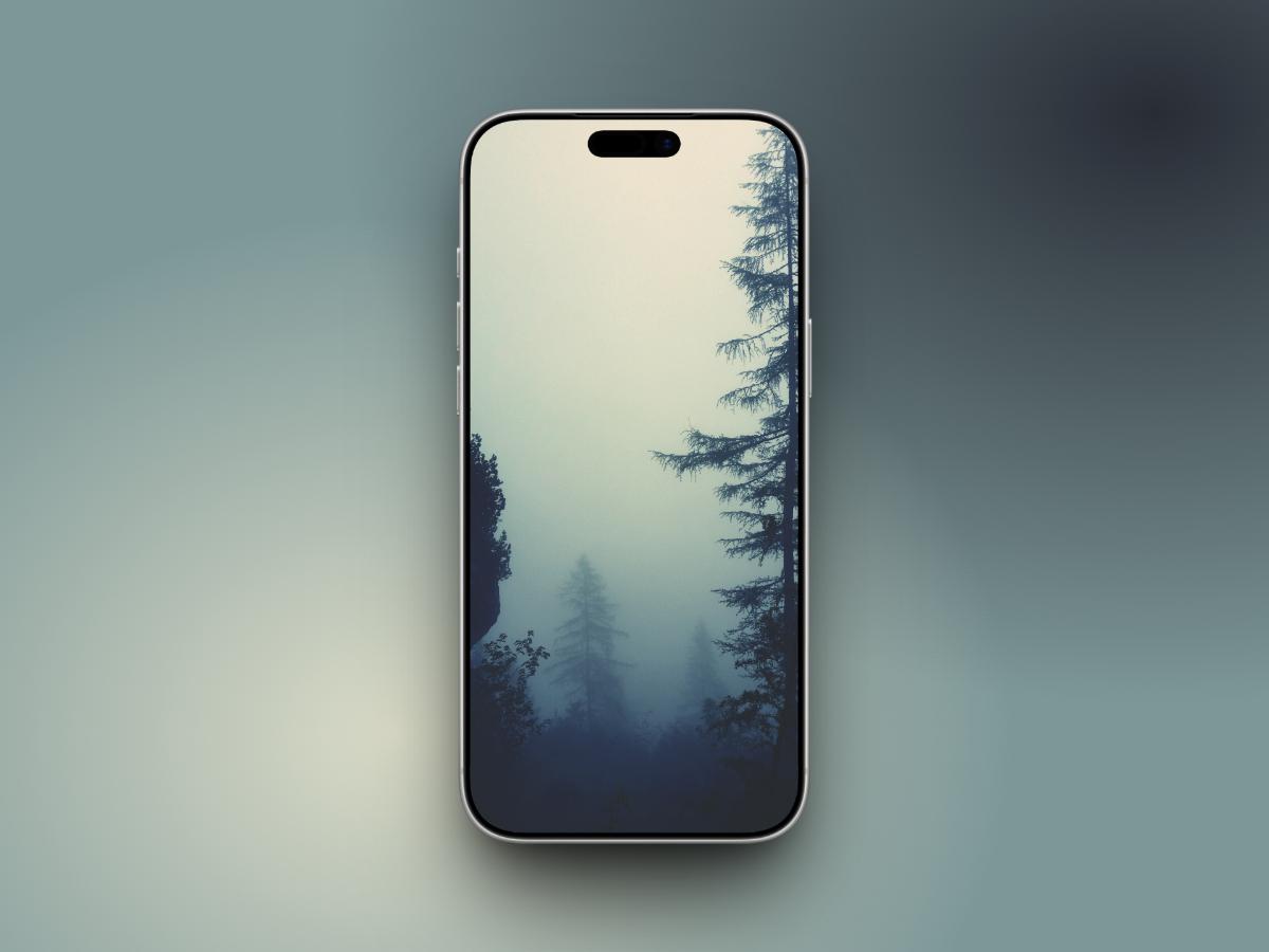 Dawn Forest Look
