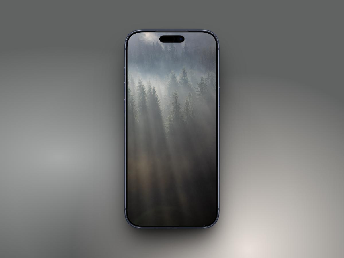 Sunbeams Through Forest Mist