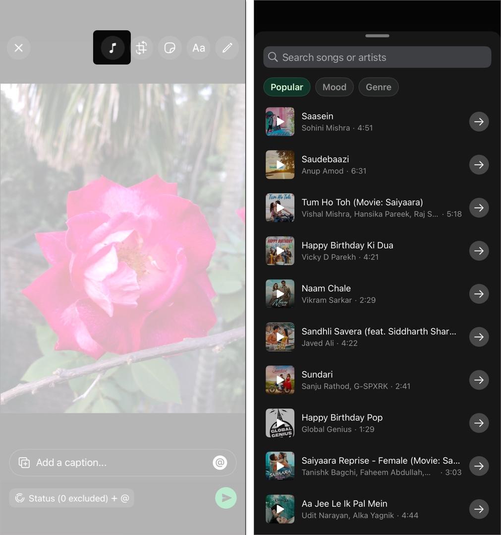 Tap the music note icon at the top to add music to whatsapp status