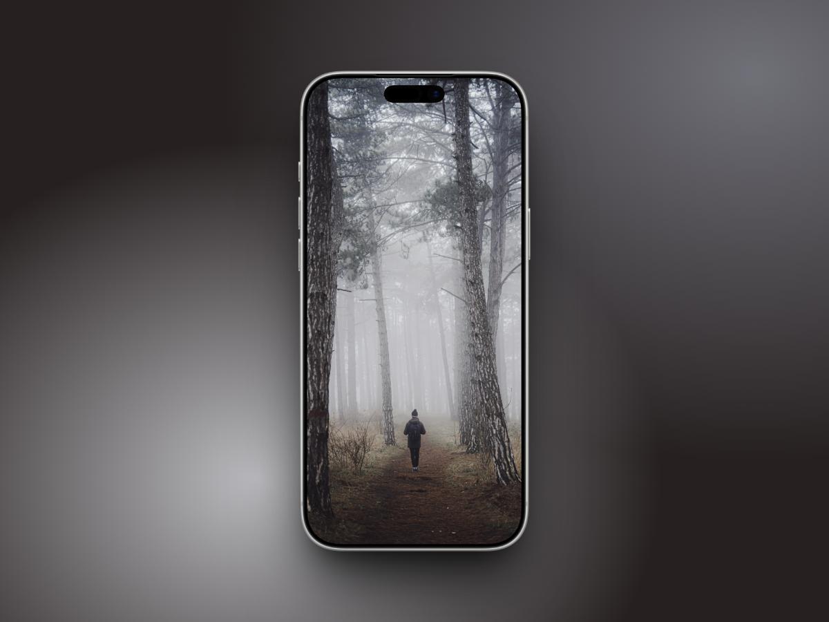 Walking in Foggy Forest