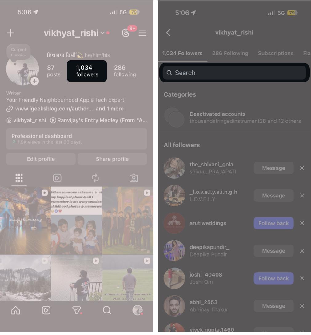 Check Manually Using Instagram Search