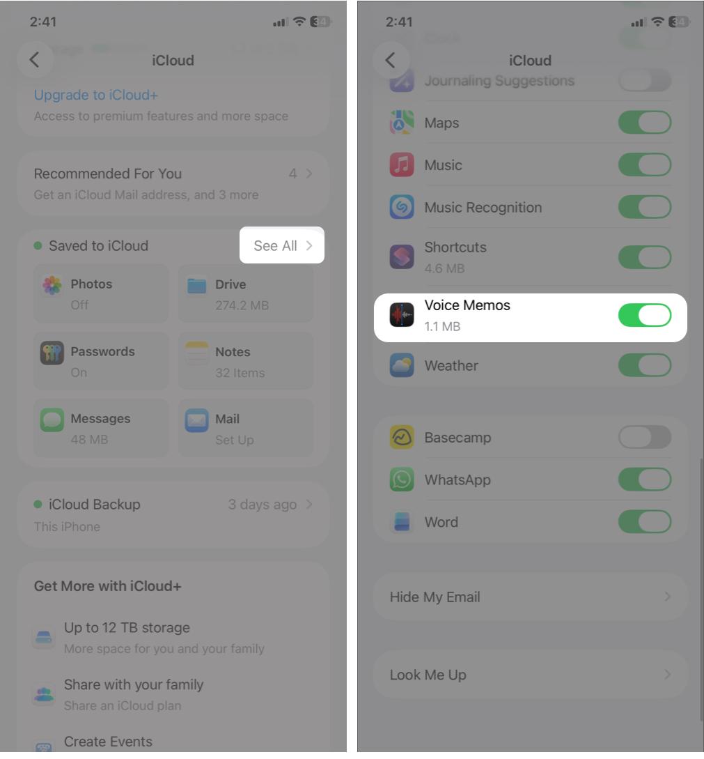 Tap see all and toggle on voice memos