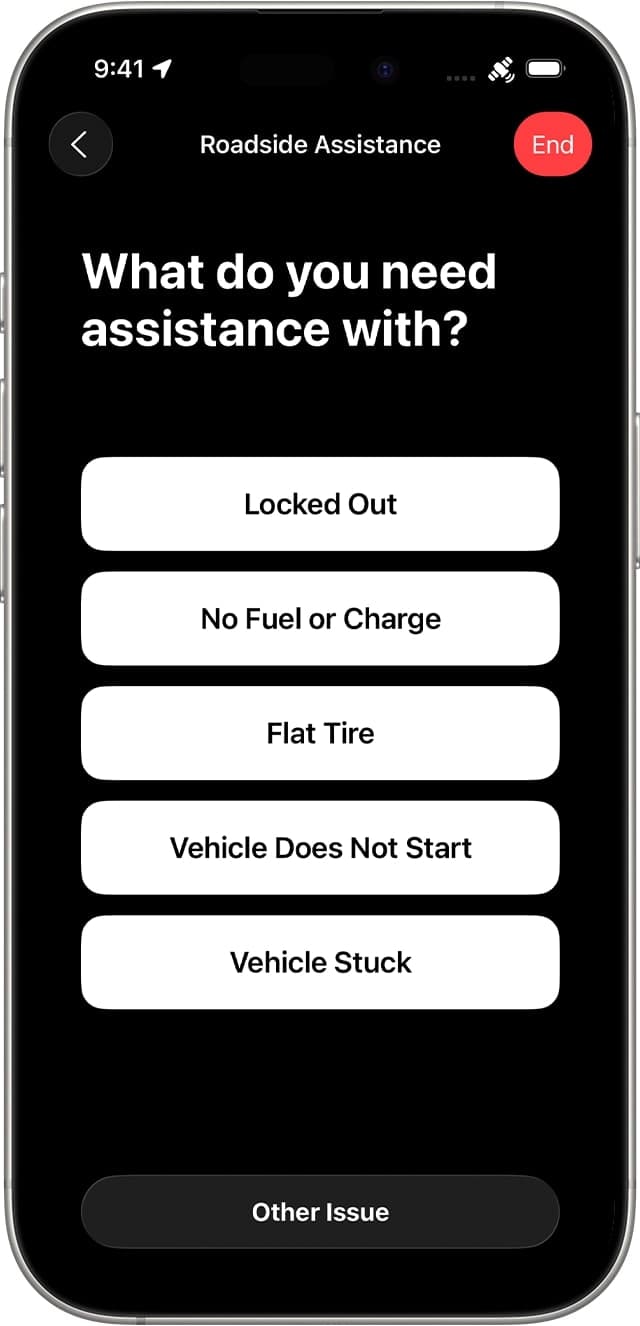 tap Roadside Assistance and Describe your situation 