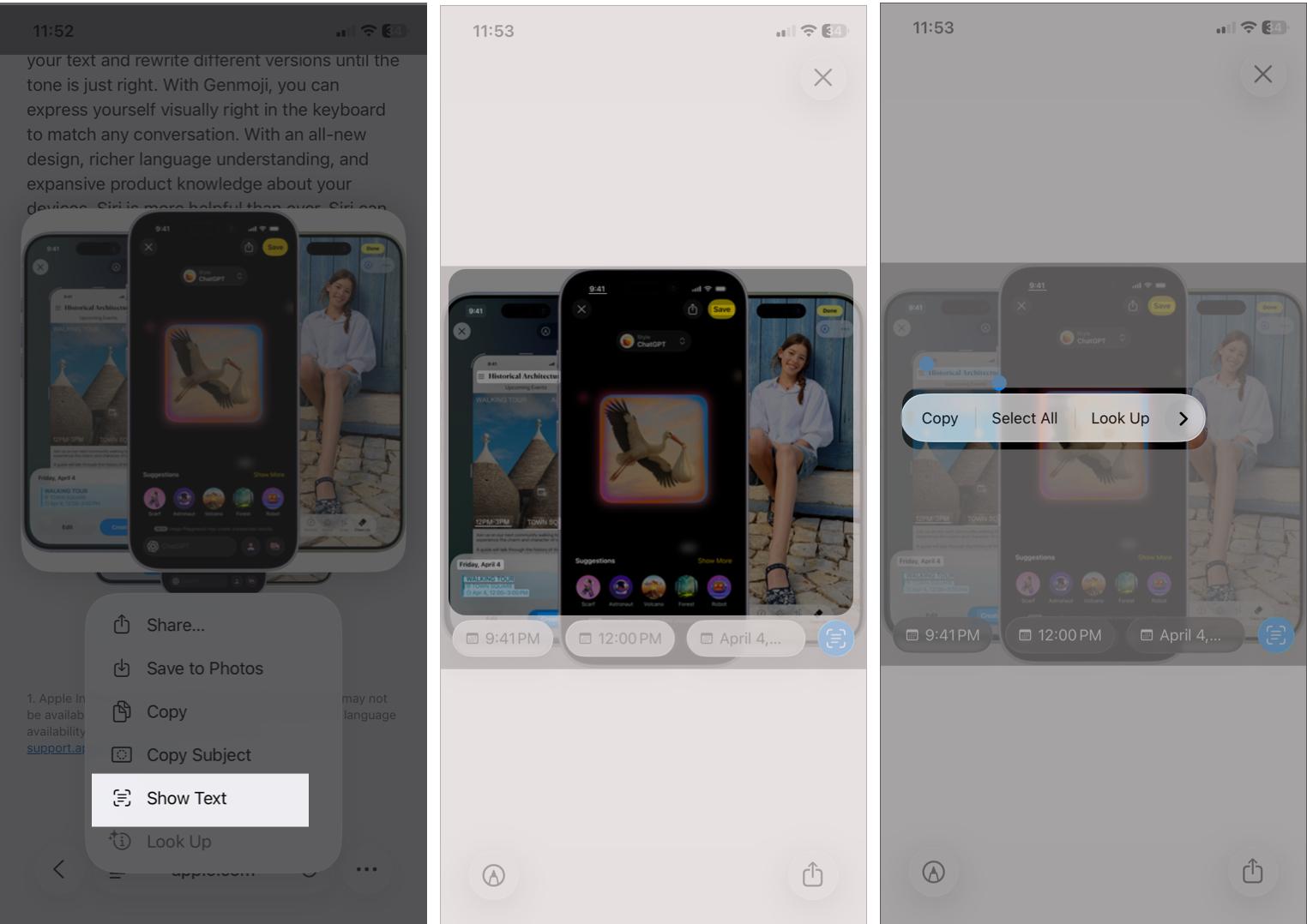 Activating the Live Text Interface in Safari and Mail by Tapping and Holding on Images to Show Text Options