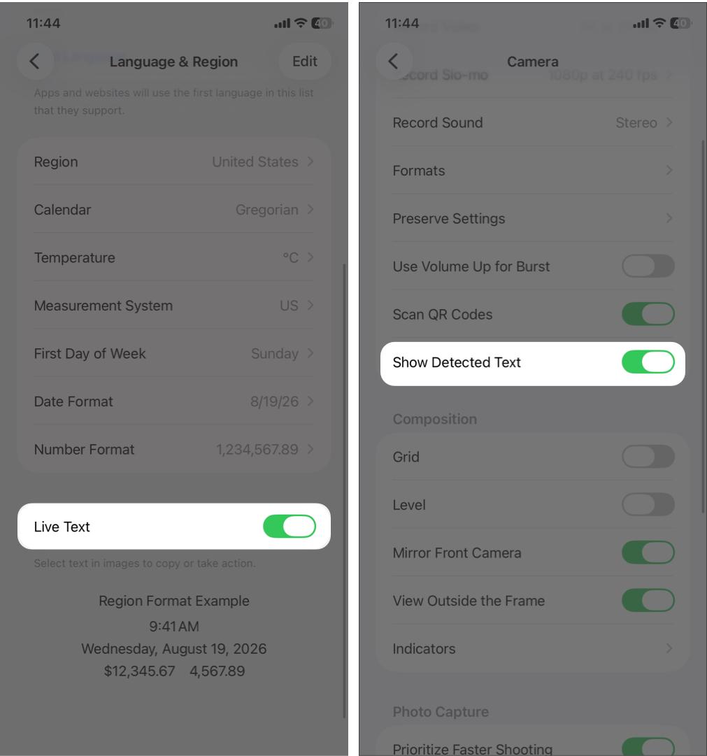 Ensure the Live Text toggle is on, and then toggle on Show Detected Text.