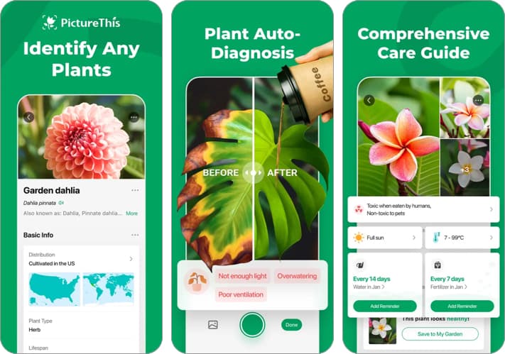 PictureThis: Fast and Accurate Plant Identification