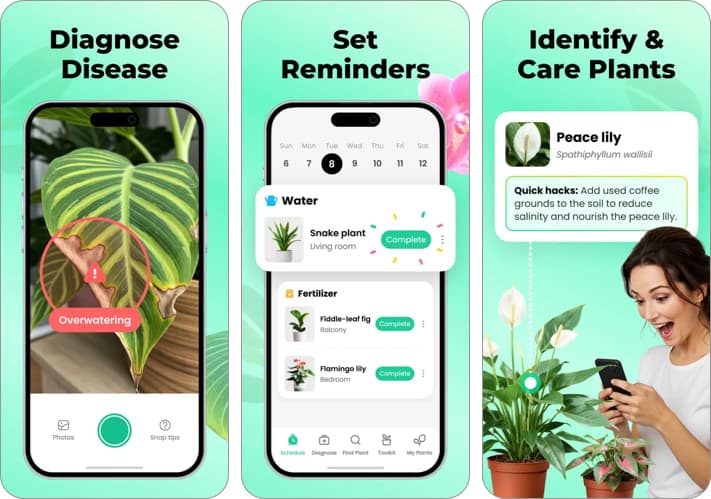 Plant Parent: Step-by-step Guidance For Beginners