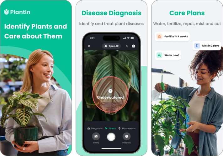 PlantIn: Plant Diagnosis and Health Problems