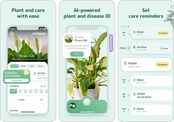 Seed to Spoon: Vegetable and Outdoor Gardeners