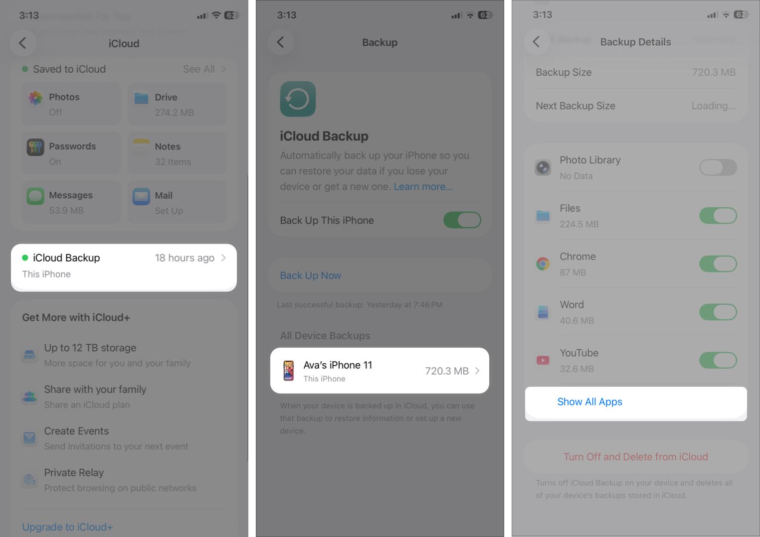 Tap iCloud Backup and select your device