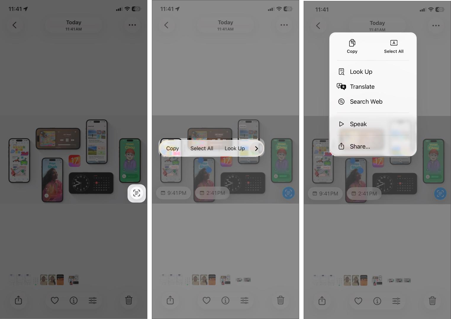 Tapping the Live Text Icon in the Bottom Right Corner of an Image in the ios Photos App
