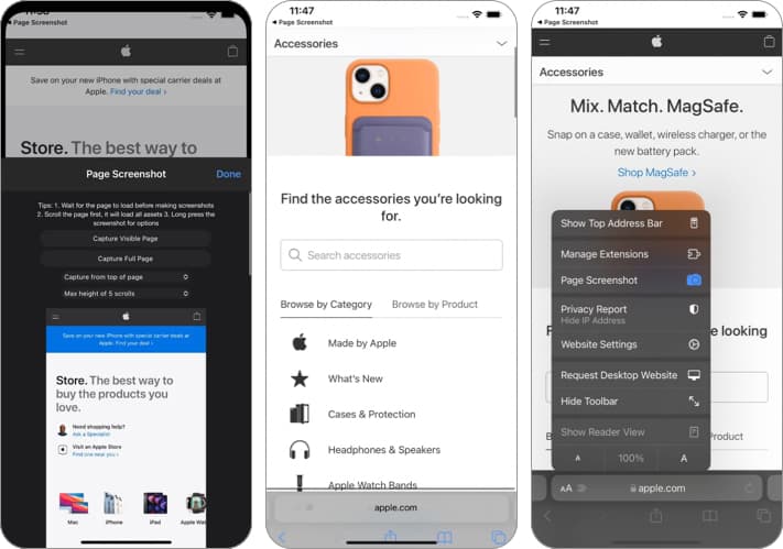 Page Screenshot for Safari