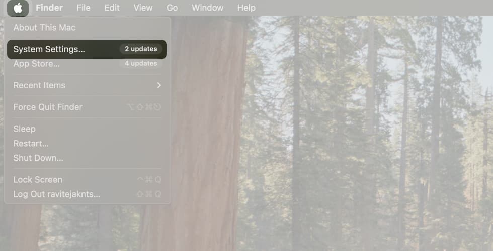 Accessing the Apple Menu and Selecting System Settings on a Mac