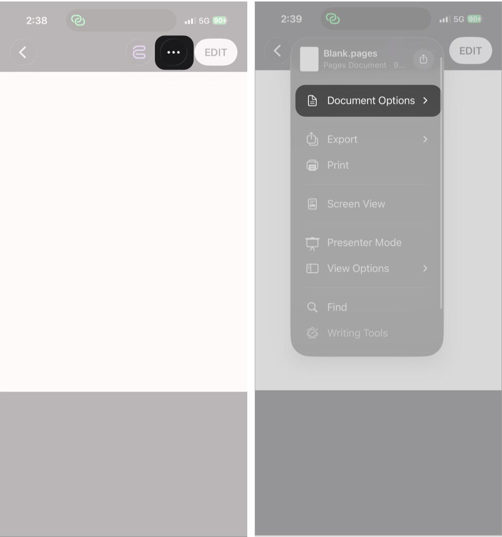 Accessing the Set Password option in Pages on iPhone.