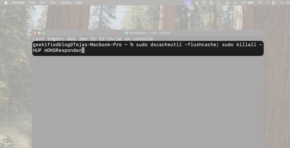 After Opening Terminal, Copy and Paste Command and Press Return