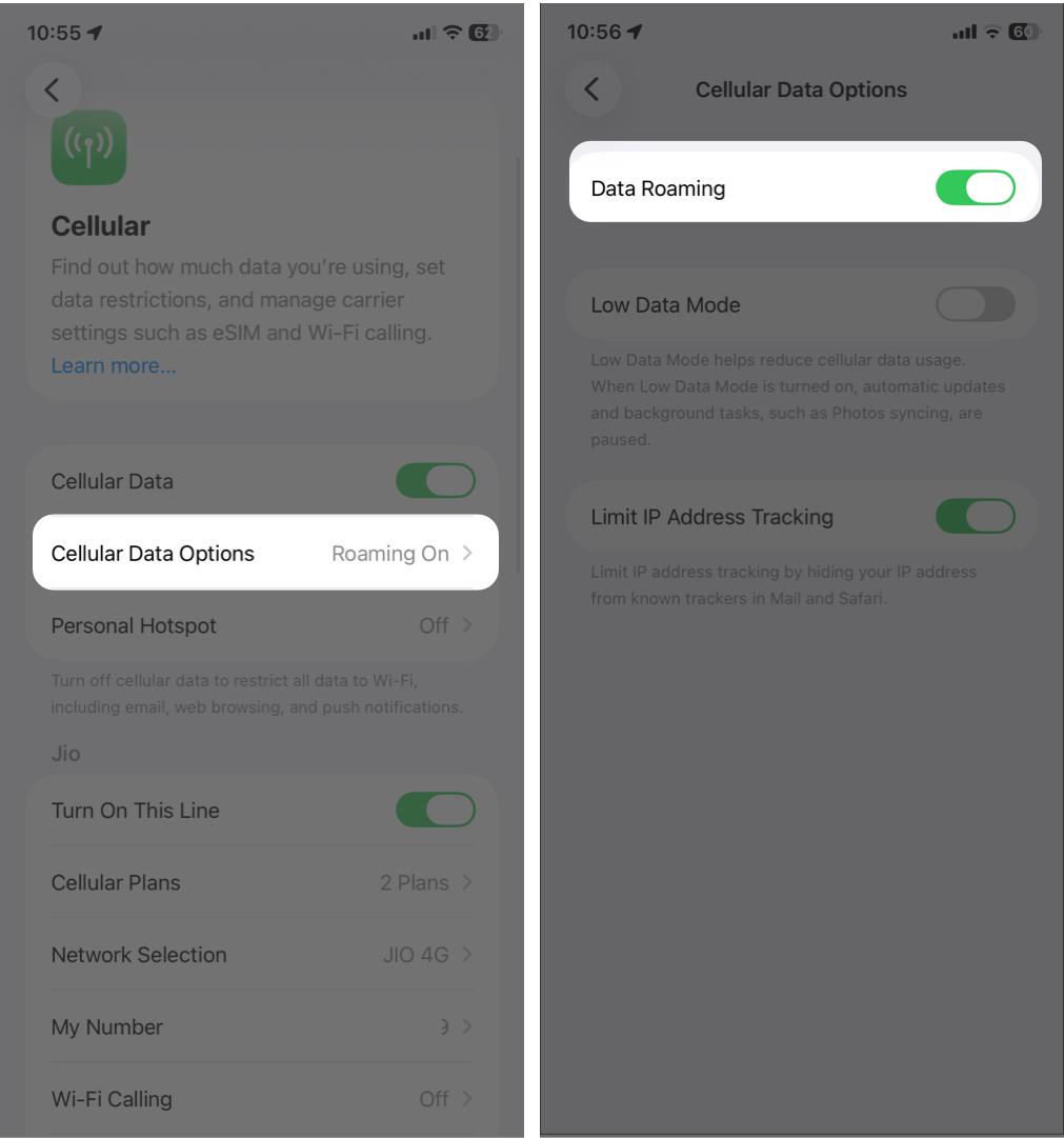 Enabling Data Roaming in iPhone Settings.