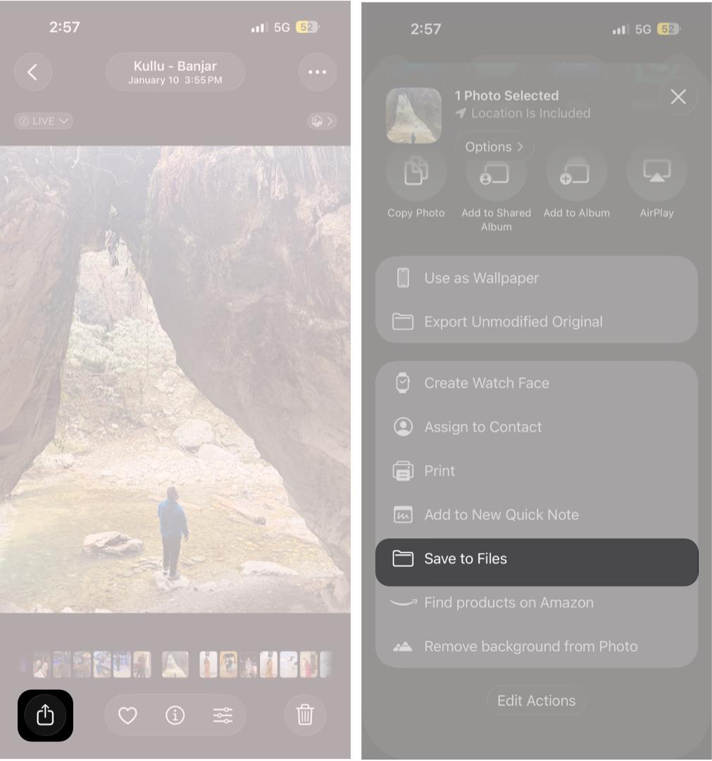Locating the Share button in the iPhone Photos app.