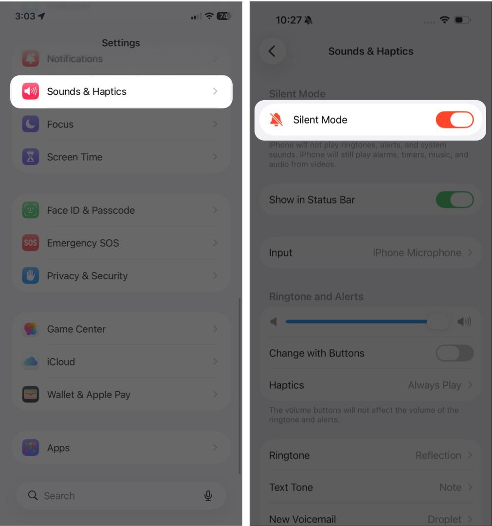 Mute Incoming Calls in iPhone