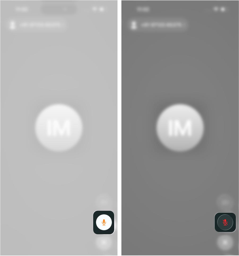 Mute Yourself in iPhone