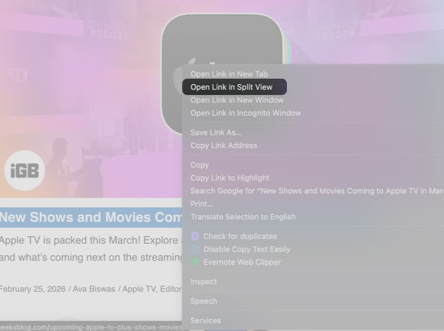 Open a Link in Split View