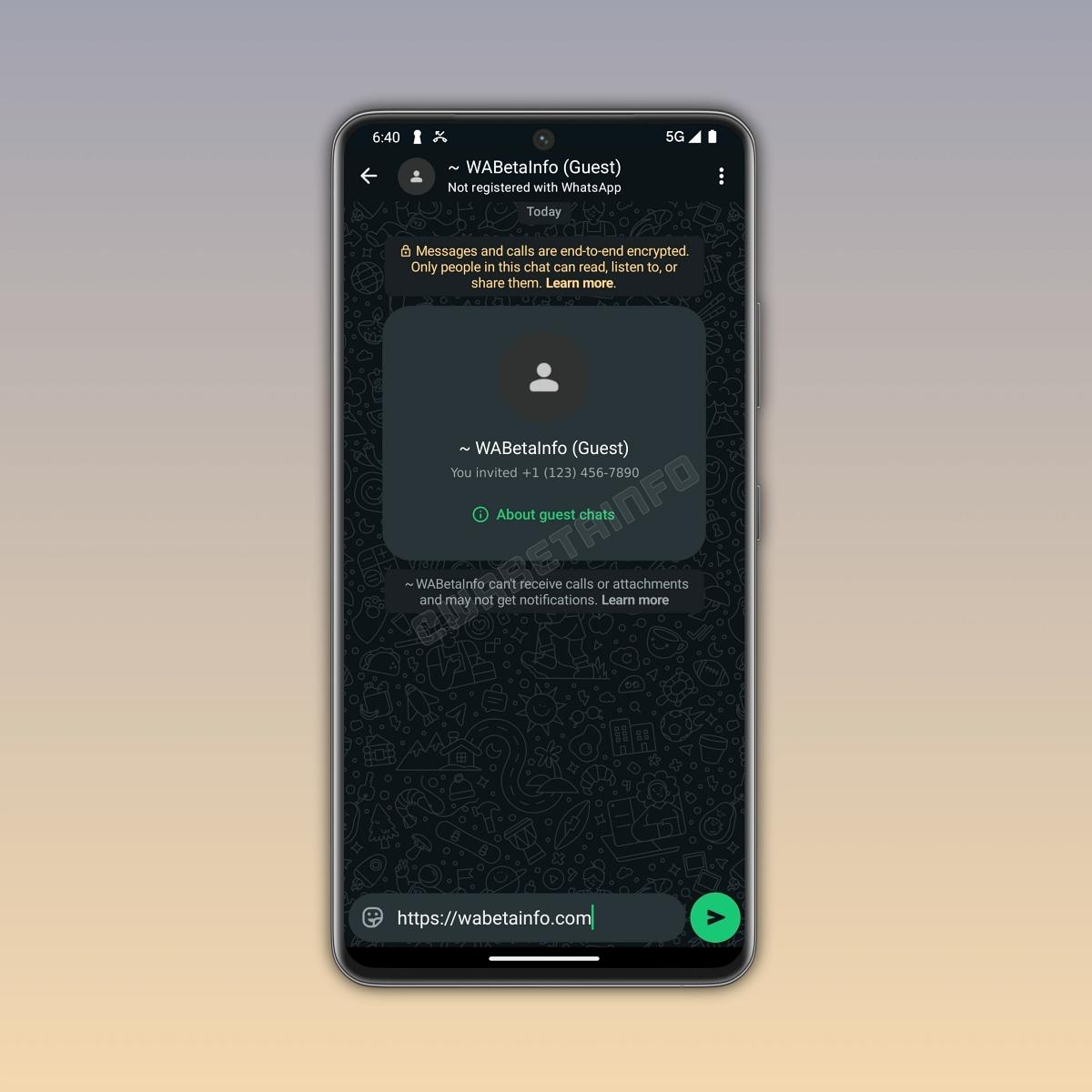 WhatsApp Tests Guest Chats