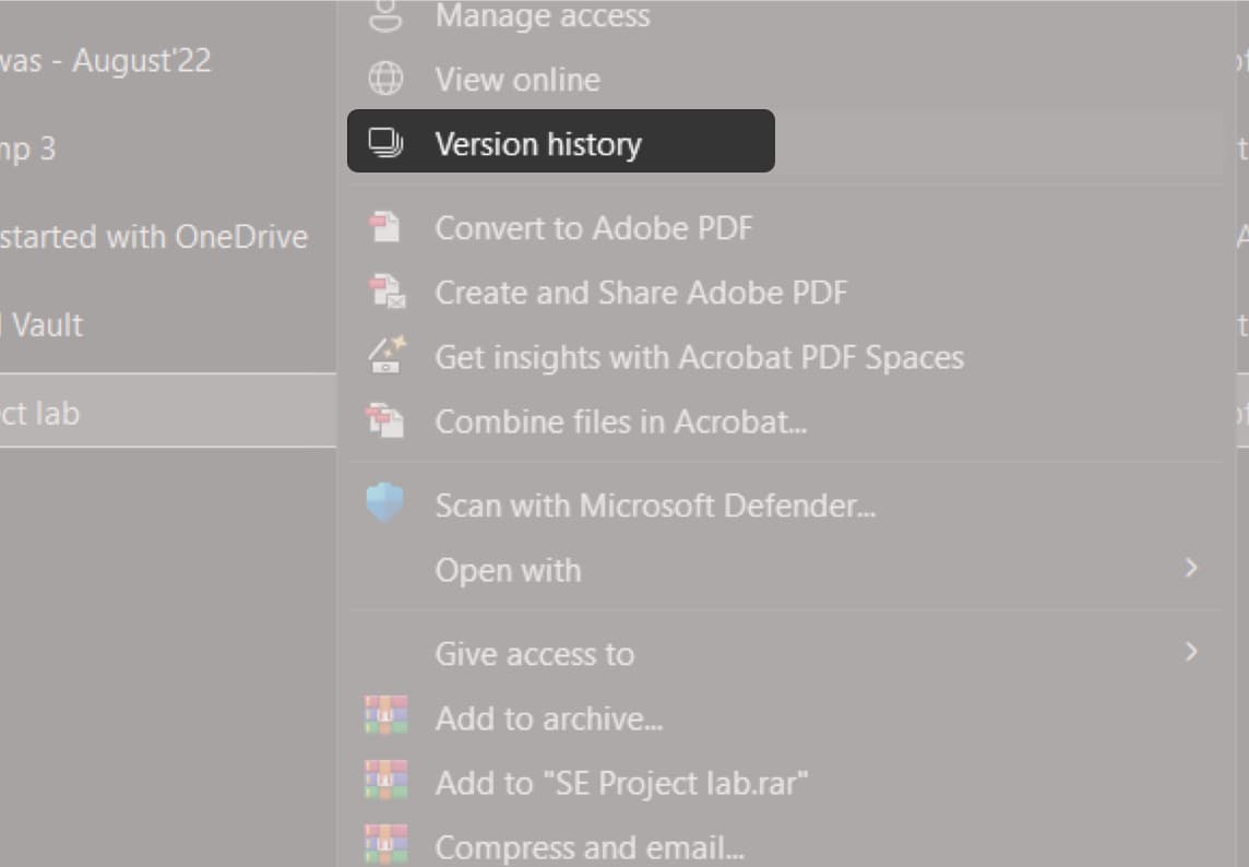Click Version history