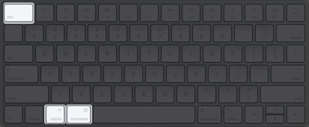 Command + Option + Esc for force quit