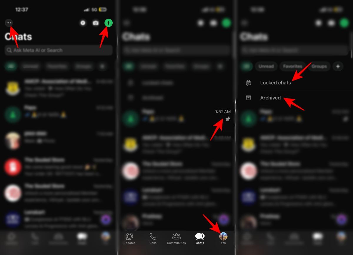 WhatsApp icons including three dot menu plus pin archive and locked chats features