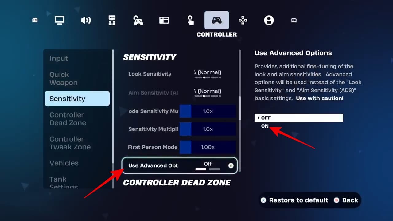 Advanced Options setting enabled in Fortnite