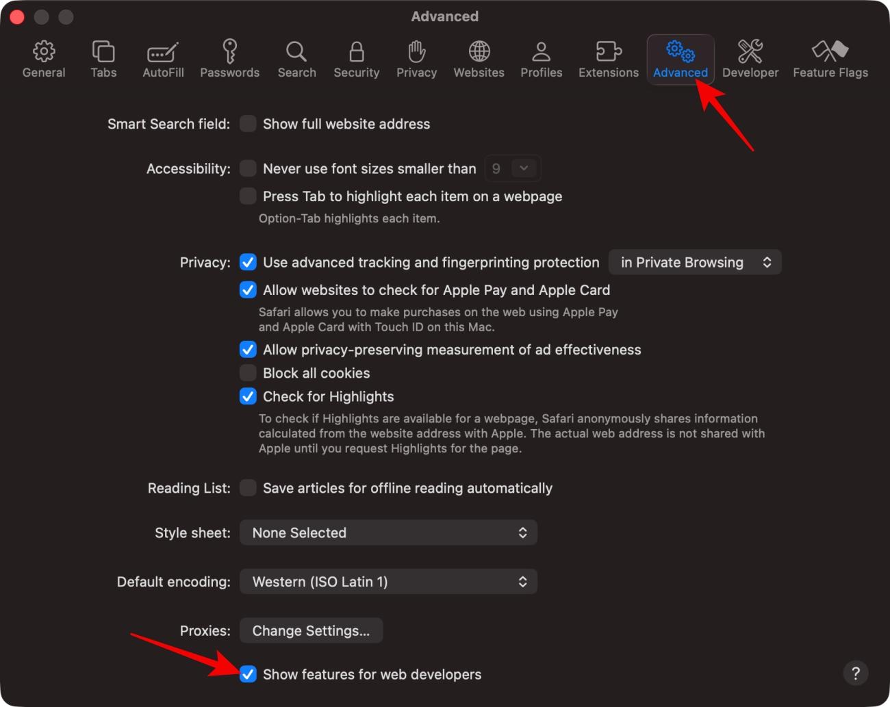 Advanced Safari settings with web developer features enabled