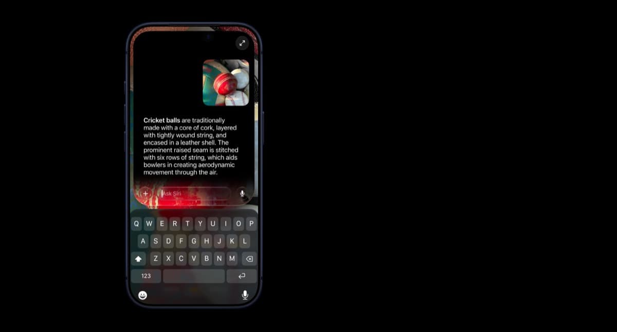 iPhone showing Siri mode in Camera identifying cricket balls