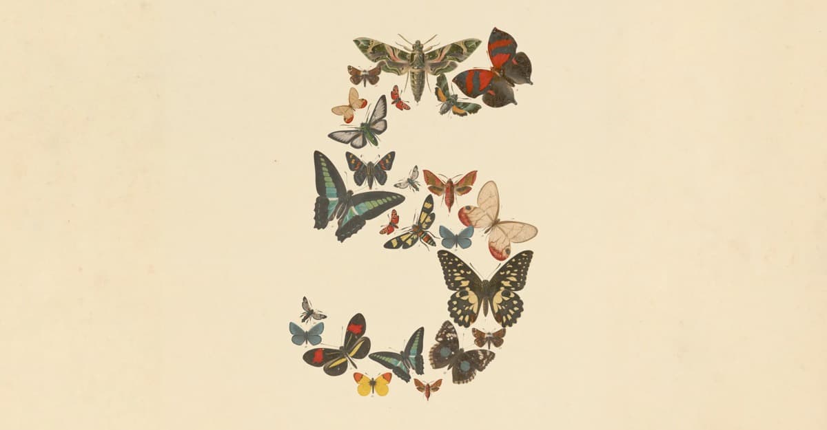 Butterfly illustration forming a question mark on a light background