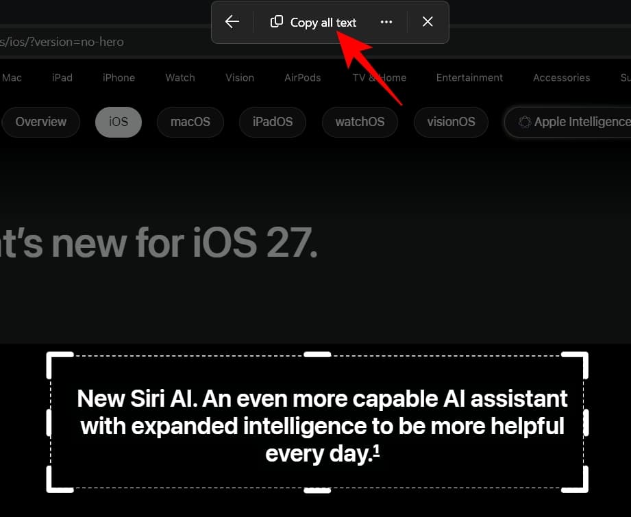 Click Copy all text at the top