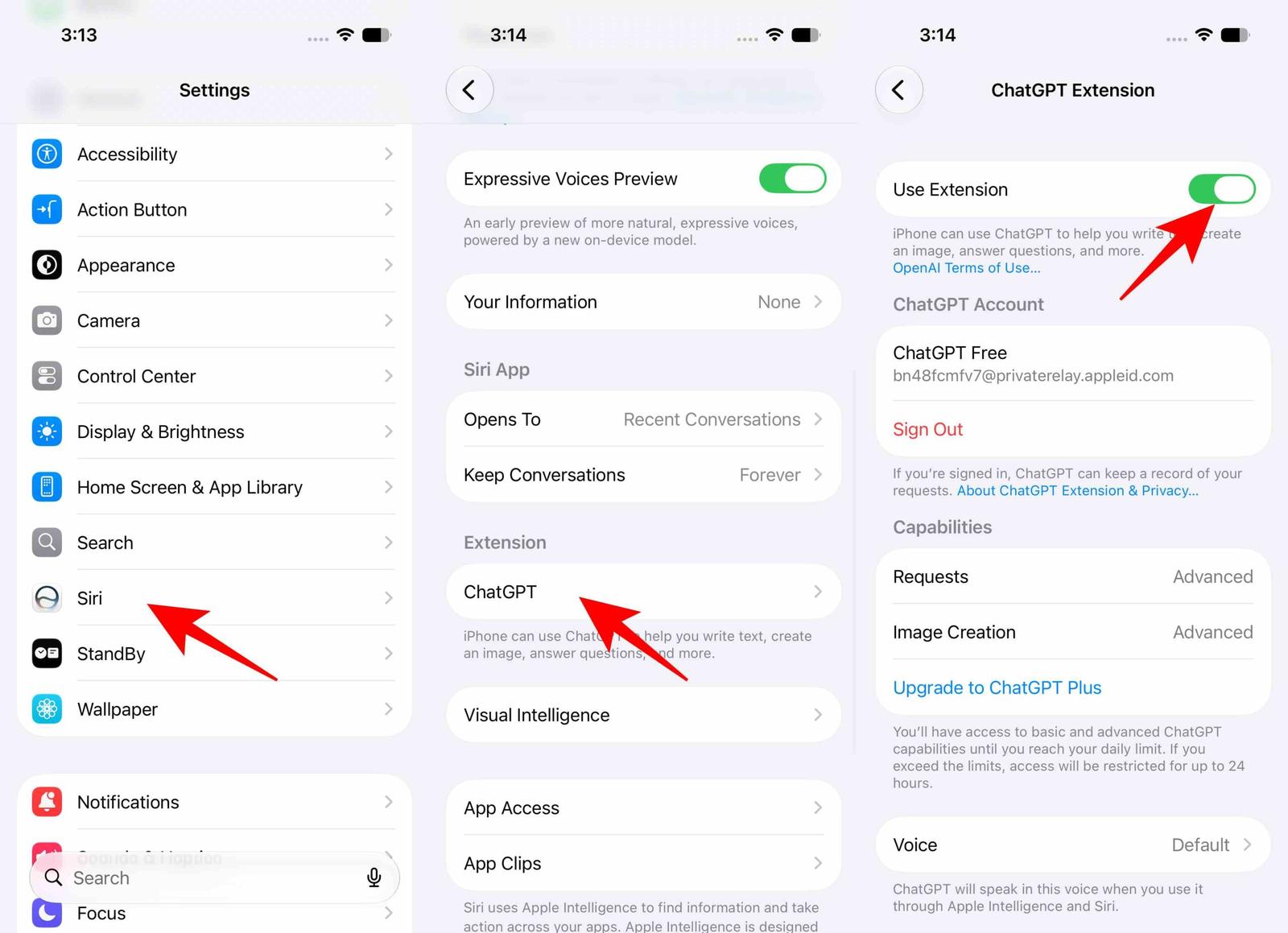 Open Settings Go to Siri option