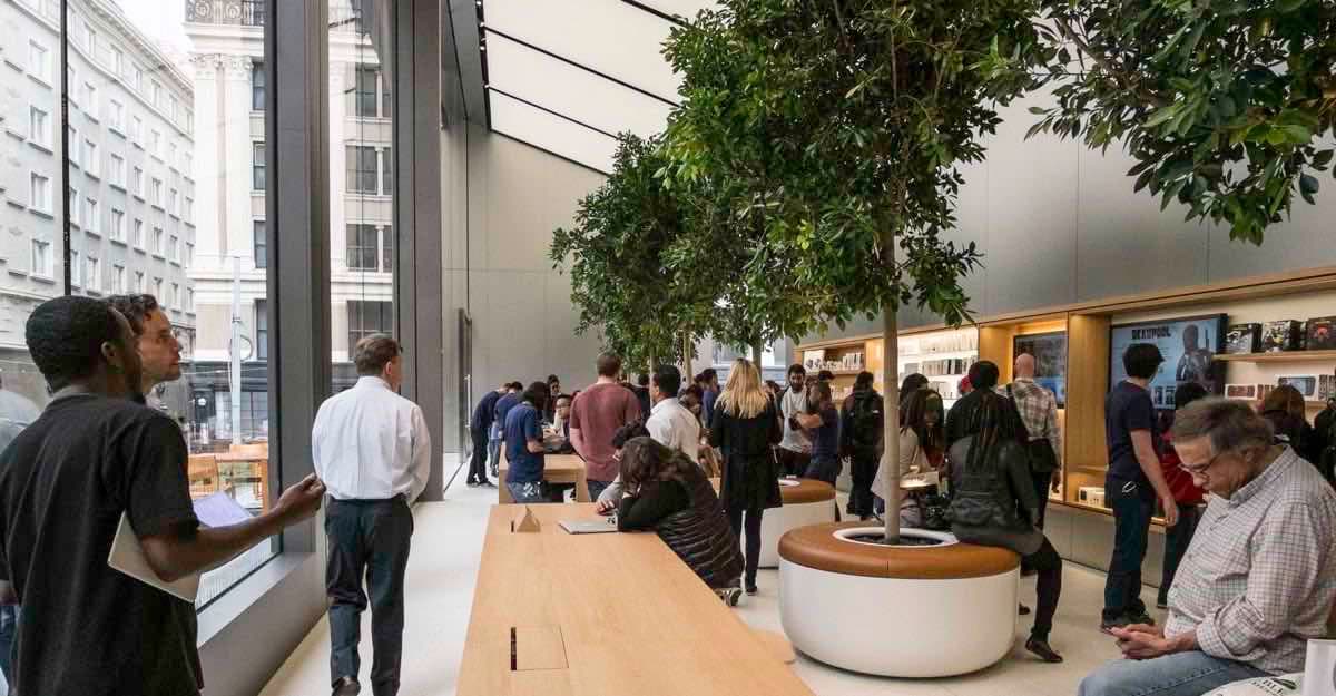 Apple Store interior with wood tables, trees, and accessory displays